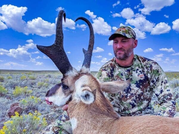 New Mexico archery elk hunting 5