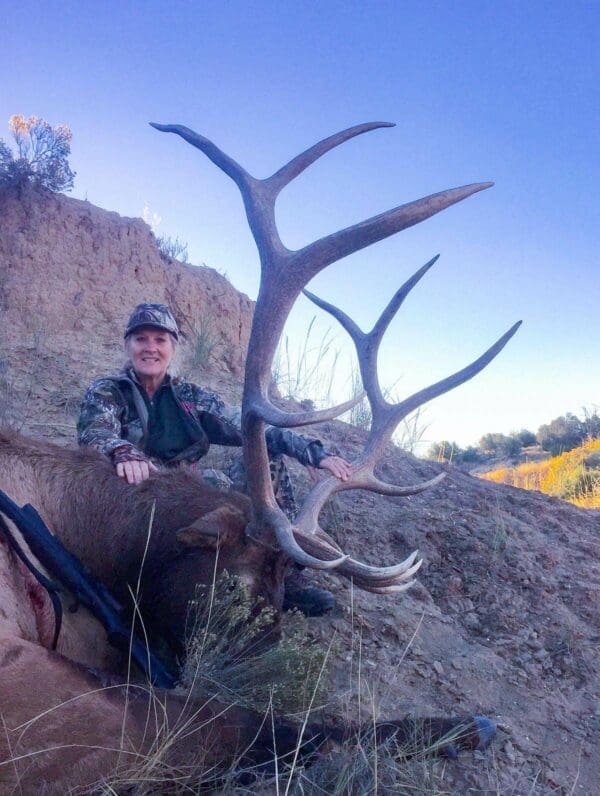 new mexico elk outfitters