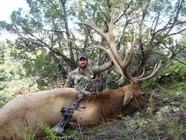 archery elk hunts arizona