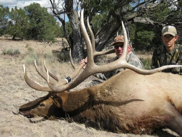 arizona rifle Elk Hunts
